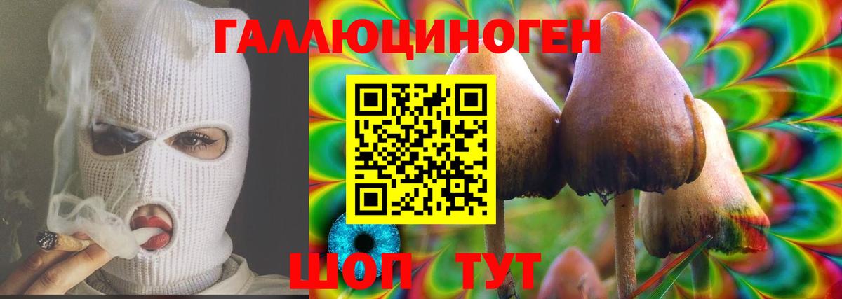Галлюциногенные грибы Psilocybe Заволжье